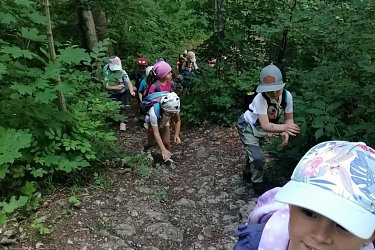 Obrázek č.14